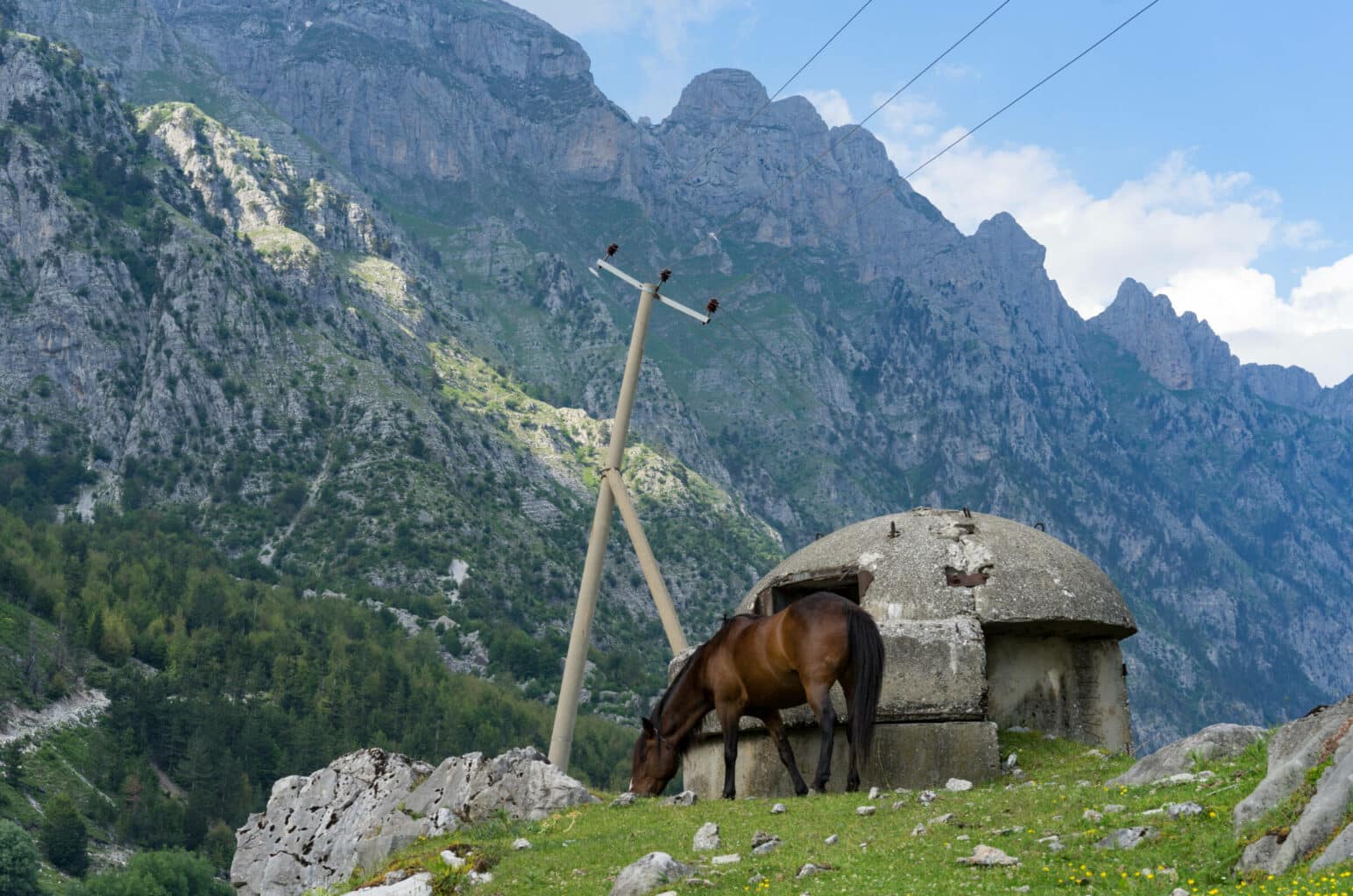 Beautiful horse and bunker, mountains, Albania